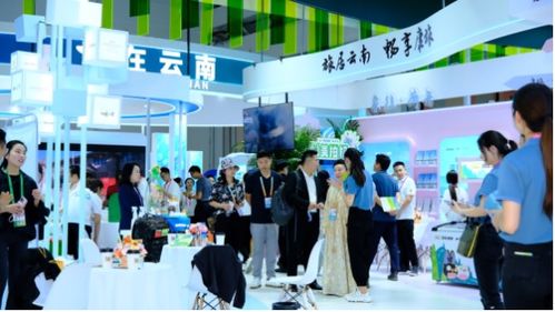 旅居云南的愜意生活 云南康旅集團持續(xù)布局南博會展服務